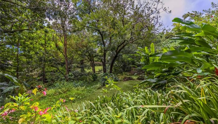 3224 Pelekane Dr Parcel 053 Honolulu, Hi vacant land for sale - photo 1 of 7