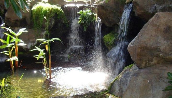 343 Hobron Lane Honolulu - Rental - photo 1 of 4