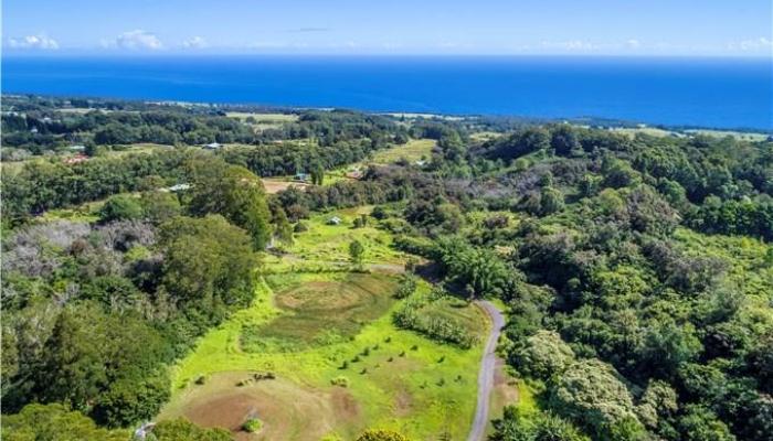 44-3265  Hoo Kahua Road Kaapahu, Hamakua home - photo 1 of 1