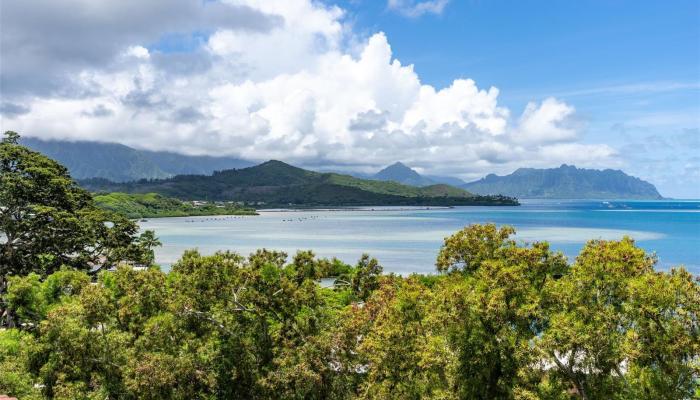 Puu Alii townhouse # 3934, Kaneohe, Hawaii - photo 1 of 25