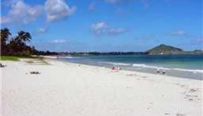 520-B N Kalaheo Ave Apt B Kailua - Rental - photo 1 of 10