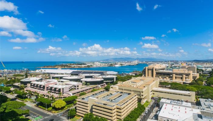 555 South Street Honolulu - Rental - photo 1 of 1