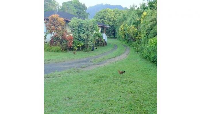 5-5501 Kuhio Hwy  Hanalei, Hi vacant land for sale - photo 1 of 17
