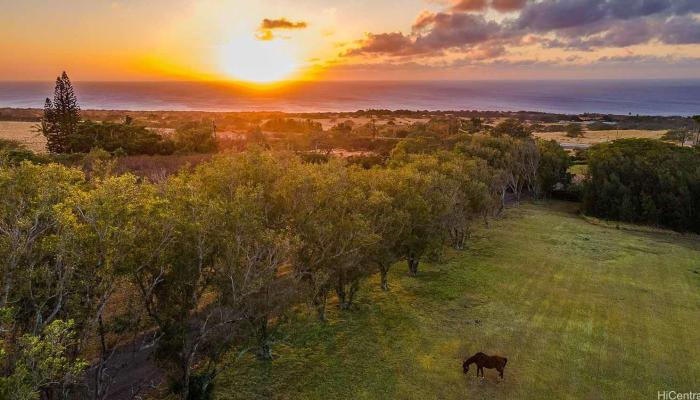 56-2864 Akoni Pule Hwy Hawi Big Island commercial real estate photo1 of 6