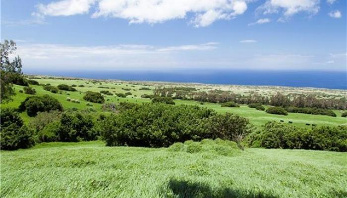 57-1495 Puuhue-honoipo Rd  Hawi, Hi vacant land for sale - photo 1 of 18