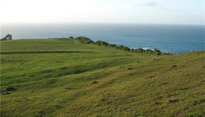 58-248 Kamehameha Hwy C2, C3 & D Haleiwa, Hi vacant land for sale - photo 1 of 4