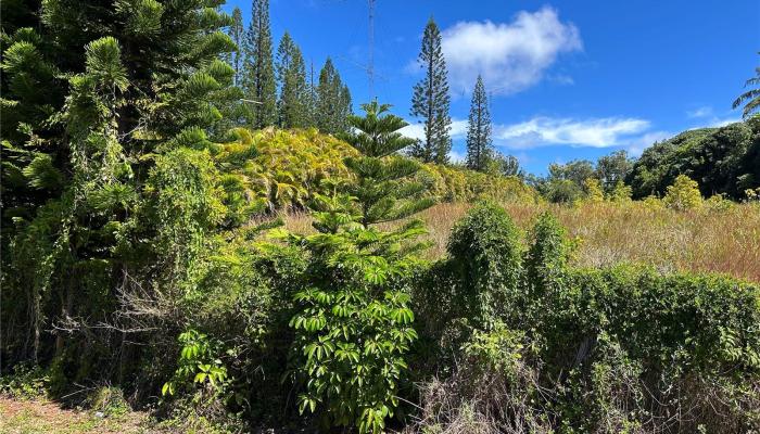 59-772 Kanalani Place  Haleiwa, Hi vacant land for sale - photo 1 of 7