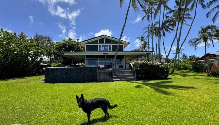 61-565  Pohaku Loa Way Kawailoa-north Shore, North Shore home - photo 1 of 1