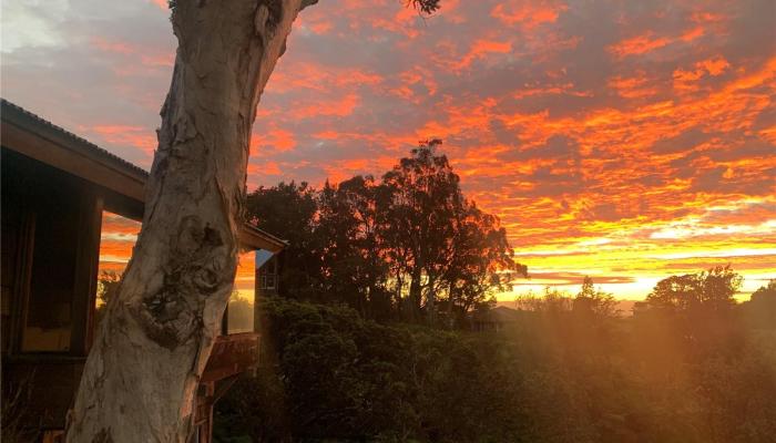 64-5322  Puu Nanea Street Puu Nani, South Kohala home - photo 1 of 1
