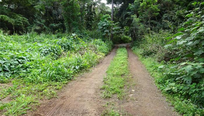 66-039 Waialua Beach Road B Haleiwa, Hi vacant land for sale - photo 1 of 1