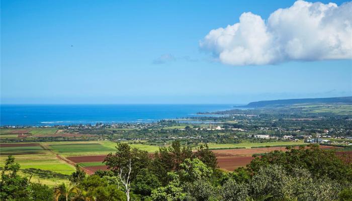 67-290  Farrington Hwy Waialua, North Shore home - photo 1 of 1