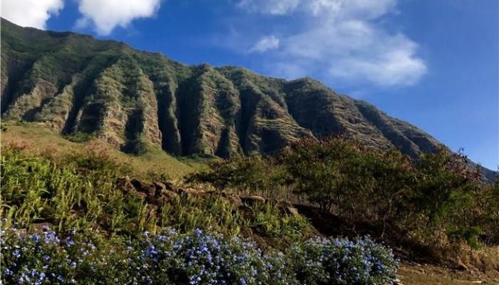 84-1009 Alahele St  Waianae, Hi 96792 vacant land - photo 1 of 17