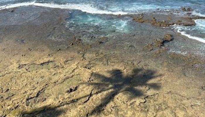 Makaha Shores condo # 516, Waianae, Hawaii - photo 1 of 1