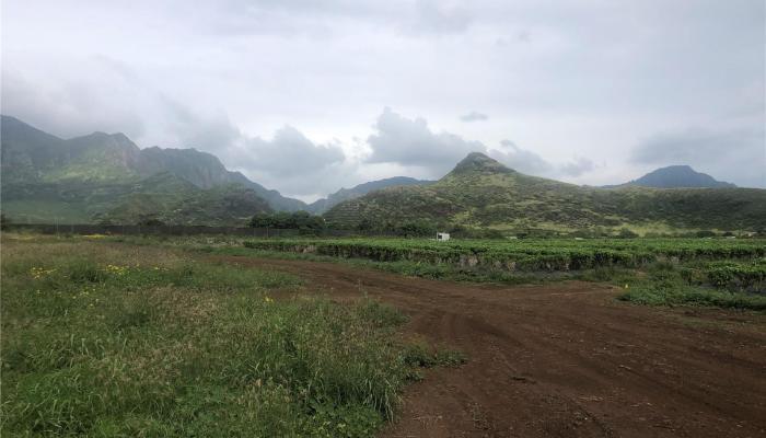 85-1177 Waianae Valley Road  Waianae, Hi vacant land for sale - photo 1 of 1