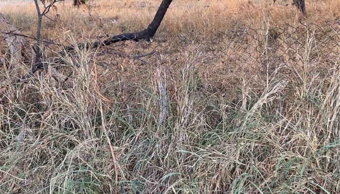 87-2014 Farrington Hwy  Waianae, Hi vacant land for sale - photo 1 of 2