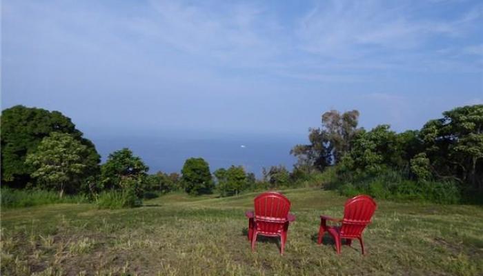 87-2771 Mamalahoa Hwy 2 Captain Cook, Hi vacant land for sale - photo 1 of 8