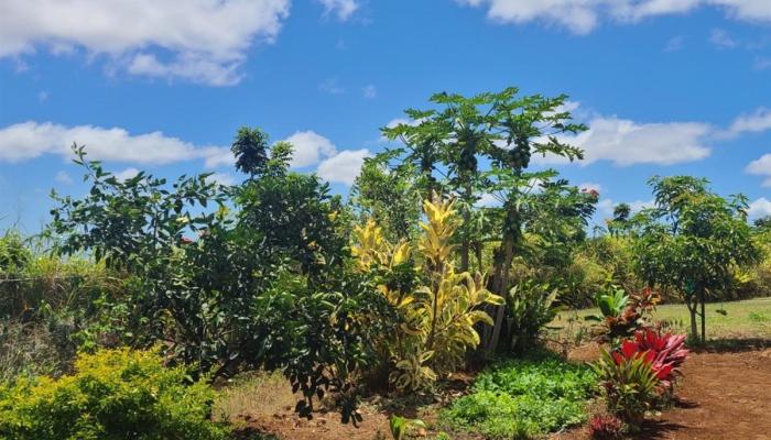 94-1100 Kunia Road 72-C Waipahu, Hi vacant land for sale - photo 1 of 1