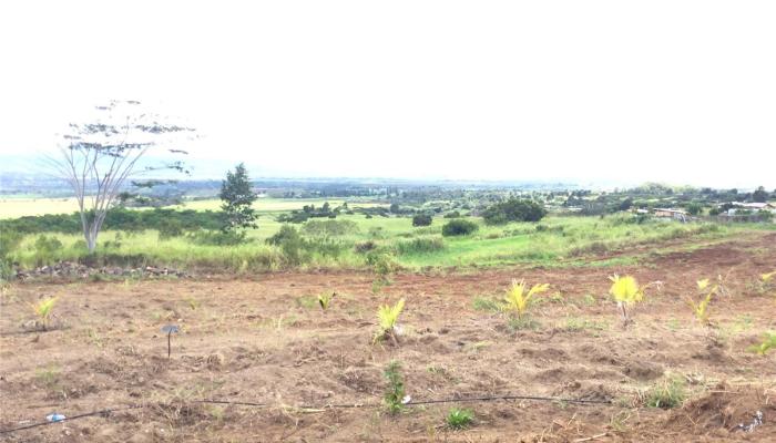 94-1100 Kunia Rd 99 Waipahu, Hi vacant land for sale - photo 1 of 6