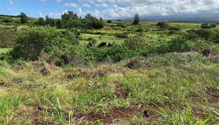 94-944 Anoiki Road 7 Waipahu, Hi vacant land for sale - photo 1 of 1