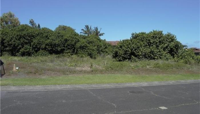 95 Kapuahi Street  Makawao, Hi vacant land for sale - photo 1 of 1