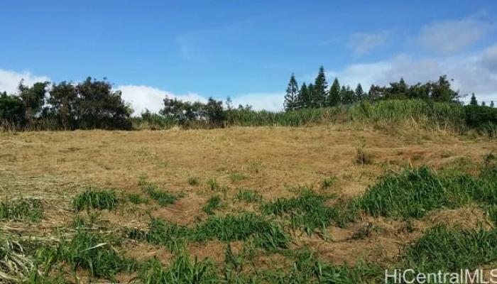 0 Alahula St  Kualapuu, Hi 96757 vacant land - photo 1 of 13