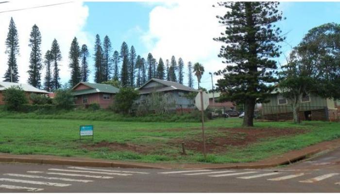 E-08 Mauna Loa Hwy  Maunaloa, Hi vacant land for sale - photo 1 of 3