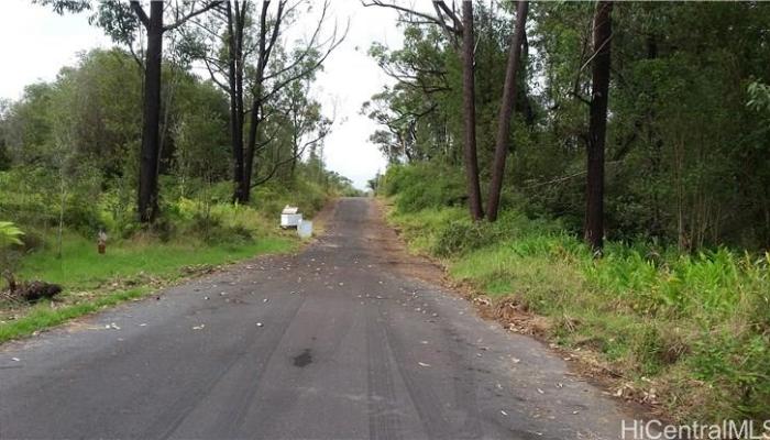 0 Heno Street  Volcano, Hi vacant land for sale - photo 1 of 1