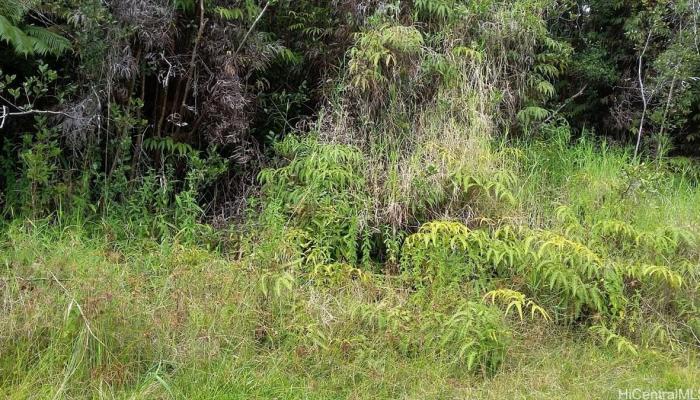 0 Holana Street  Mt. View, Hi vacant land for sale - photo 1 of 1