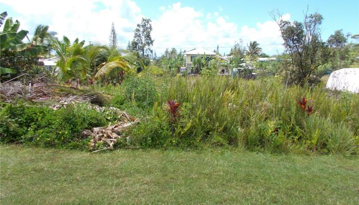 - Kaiwa Street  Pahoa, Hi vacant land for sale - photo 1 of 1