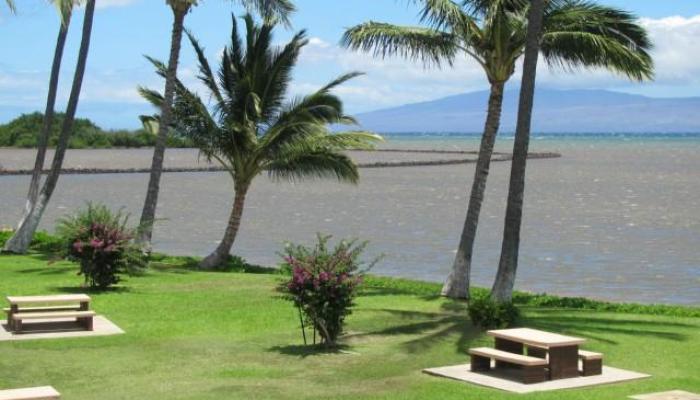 Molokai Shores condo # 205A, Kaunakakai, Hawaii - photo 1 of 1