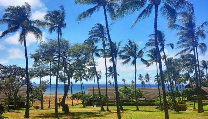 West Molokai Resort condo # 14A02/1202, Maunaloa, Hawaii - photo 1 of 15