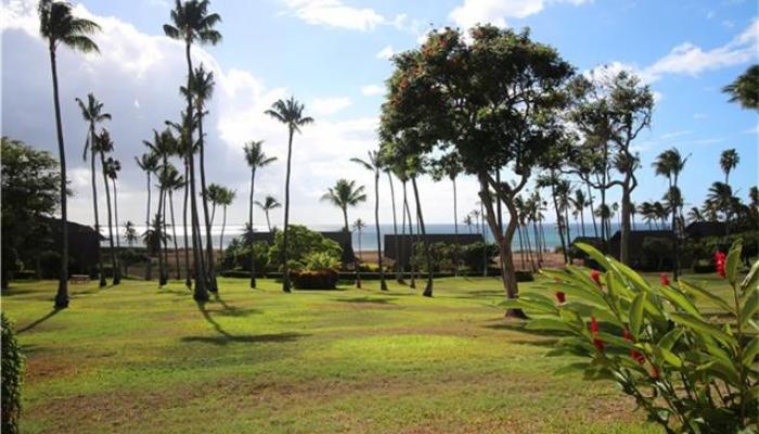 West Molokai Resort condo # 16B06/1186, Maunaloa, Hawaii - photo 1 of 15