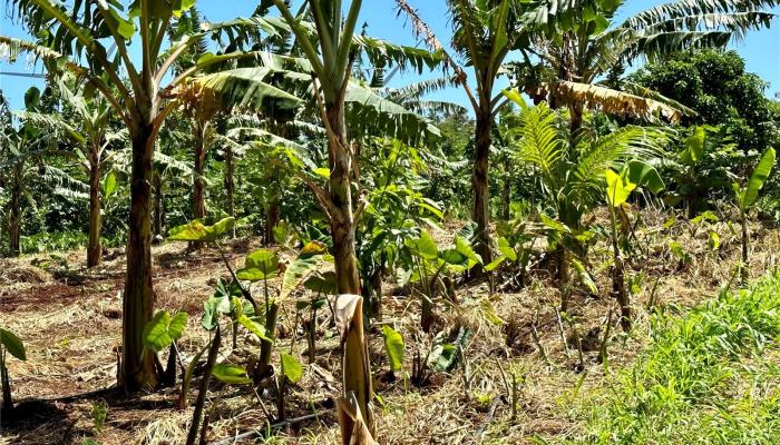 Lot 1 Plantation Road  Kahuku, Hi vacant land for sale - photo 1 of 1