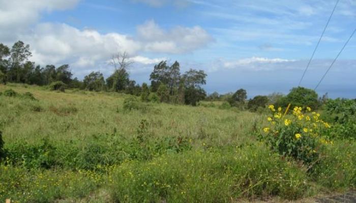 Lot #53 Keokea Place  Kula, Hi vacant land for sale - photo 1 of 1