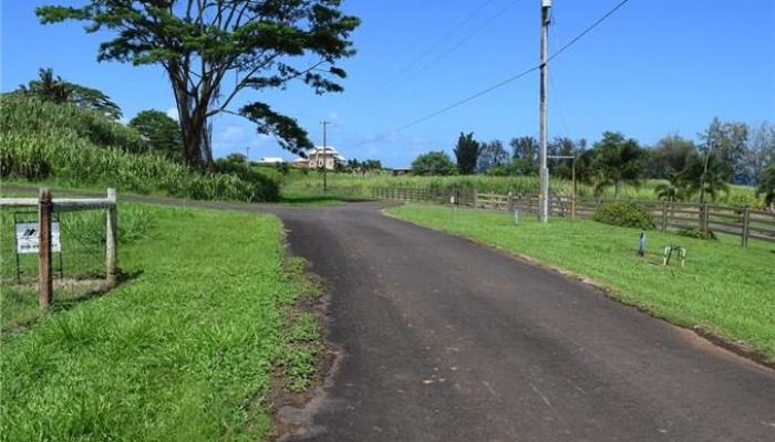 Lot 80 Loa Road  Pepeekeo, Hi vacant land for sale - photo 1 of 1