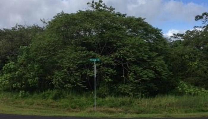 0 Mahiai Street LOT 171-A Hilo, Hi vacant land for sale - photo 1 of 1