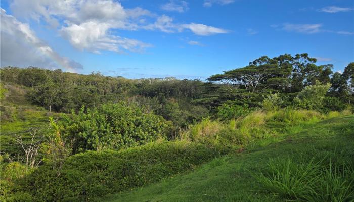 202516887 Mililani Mauka, Mililani ,Hi 96789, - rental