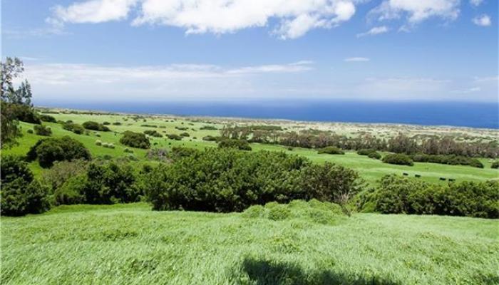 na Puuhue-honoipo Rd  Hawi, Hi vacant land for sale - photo 1 of 17