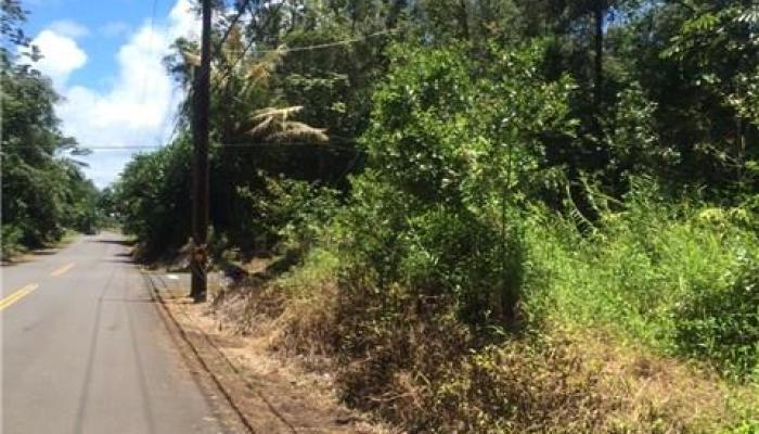 NONE Aweoweo Street  Pahoa, Hi vacant land for sale - photo 1 of 1