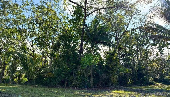 0 Pahoa Kalapana Road Lot 1-A-6 Pahoa, Hi vacant land for sale - photo 1 of 1