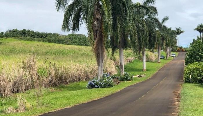 0 PEPEEKEO Point  Pepeekeo, Hi vacant land for sale - photo 1 of 1