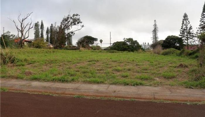 0 Puunana Street D-071 Maunaloa, Hi vacant land for sale - photo 1 of 7