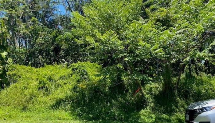 S Puni Lapa Loop  Pahoa, Hi vacant land for sale - photo 1 of 7