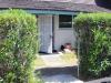 image recently view image