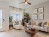 image recently view image